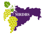 mrdbs logo hd final