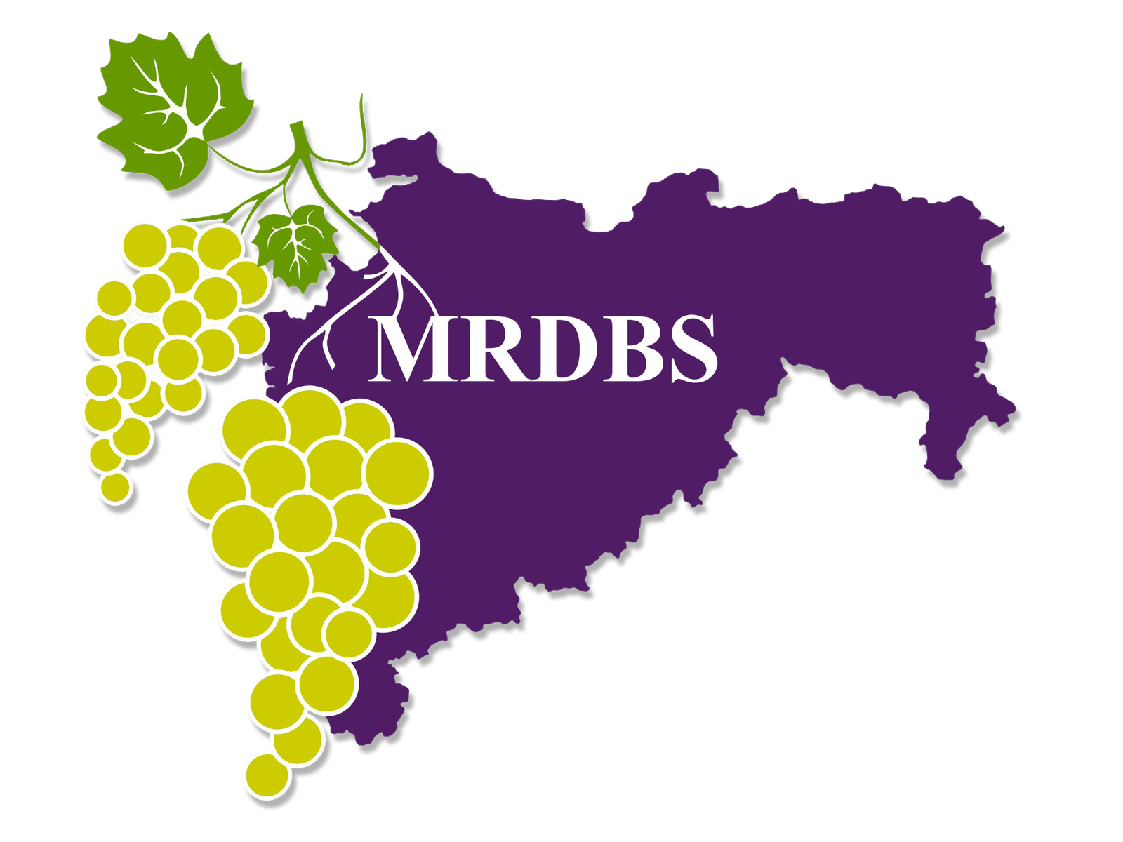 mrdbs logo hd final shadow
