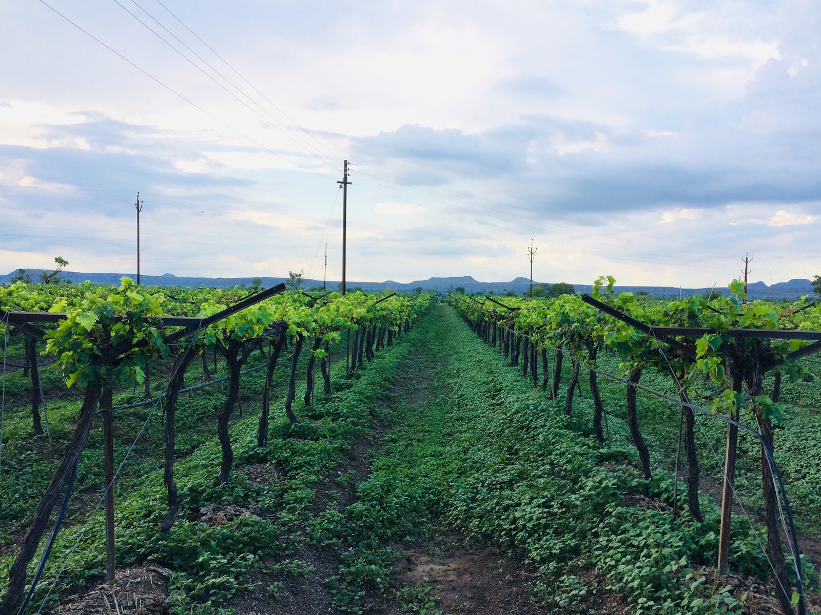 468709193 2663441007377657 4503635618284888471 n